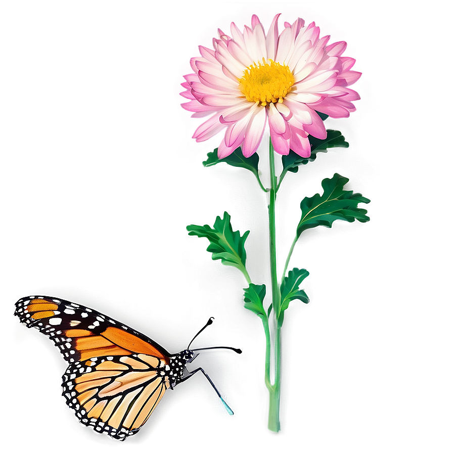 Chrysanthemum And Butterfly Png 06112024 PNG