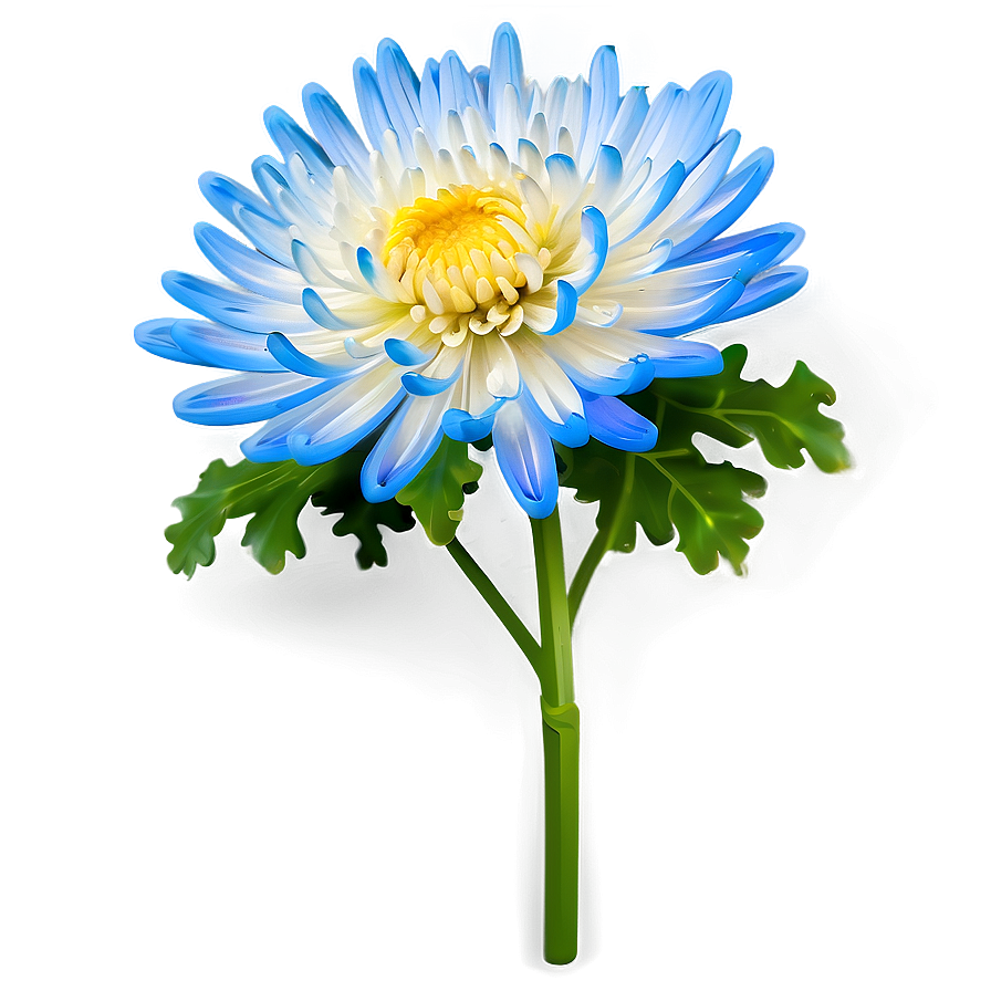 Chrysanthemum Flower Transparent Png Gix14 PNG