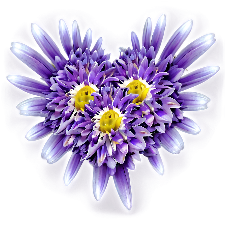 Chrysanthemum Petal Pattern Png Ihv PNG