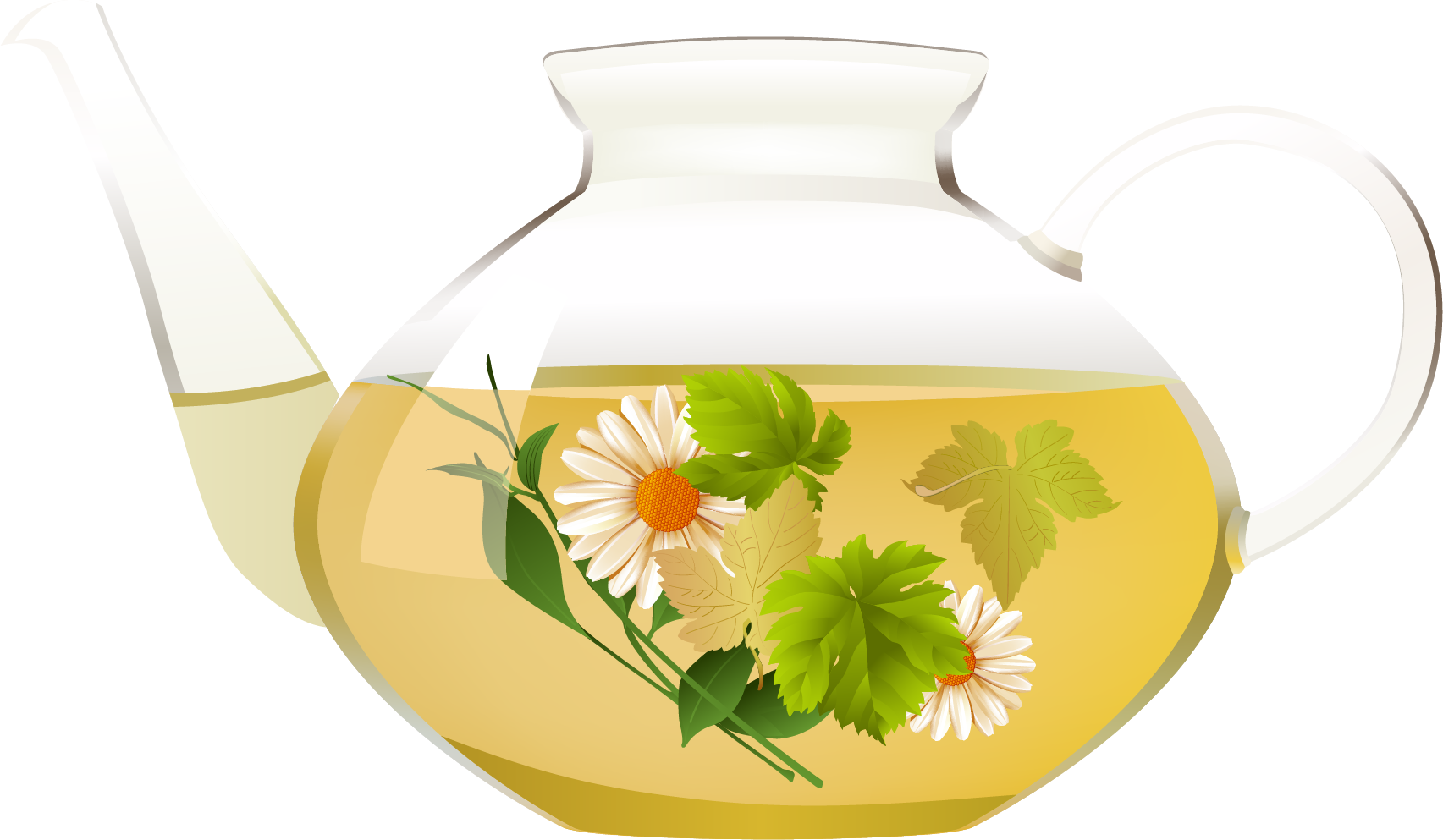 Chrysanthemum Teain Glass Teapot PNG