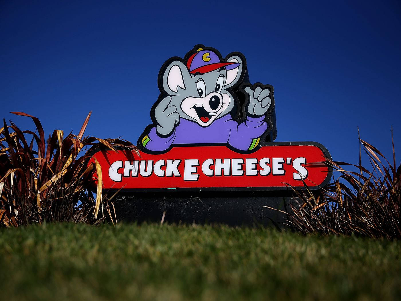 Chuck E Cheese Restaurant Signage Wallpaper