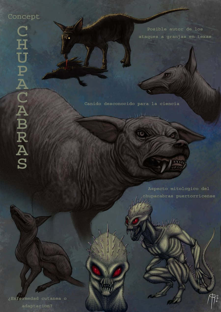 Myter om Chupacabra Legends Supernaturlig Creature Picture Woven Wallpaper