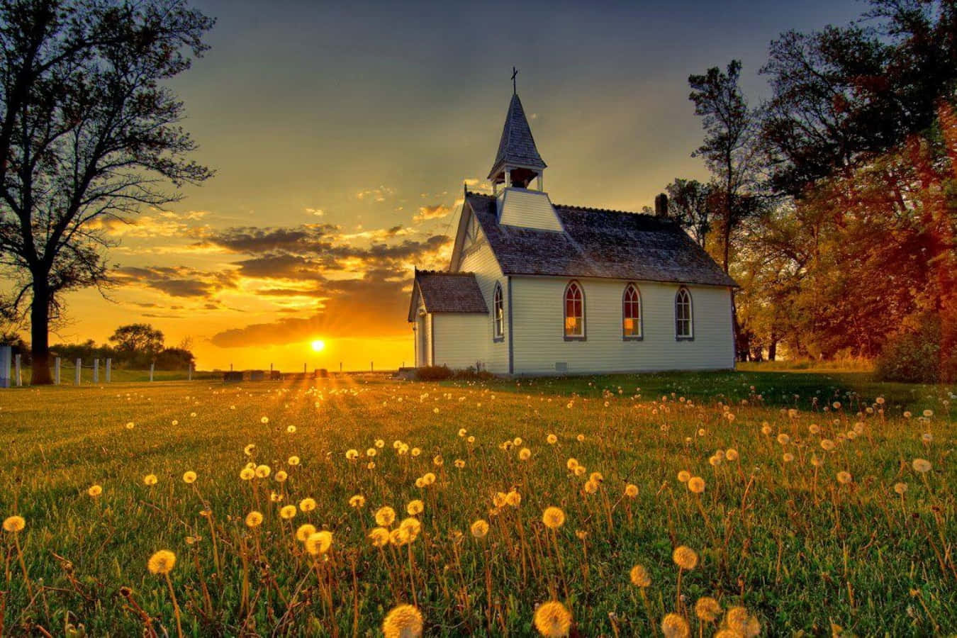 A Church With A Field Of Dandelions In The Background