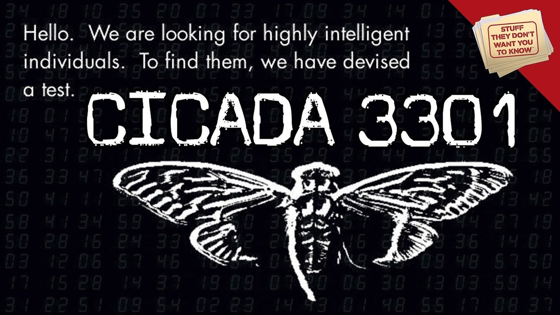 Anúncioda Cicada 3301. Papel de Parede