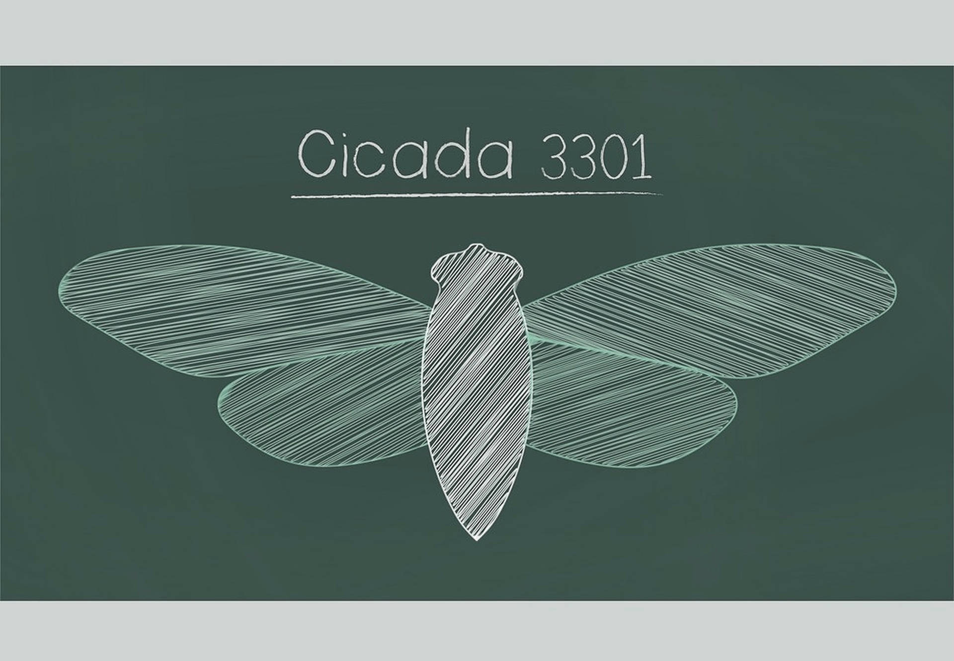 Mysterious Green Poster of Cicada 3301 Wallpaper