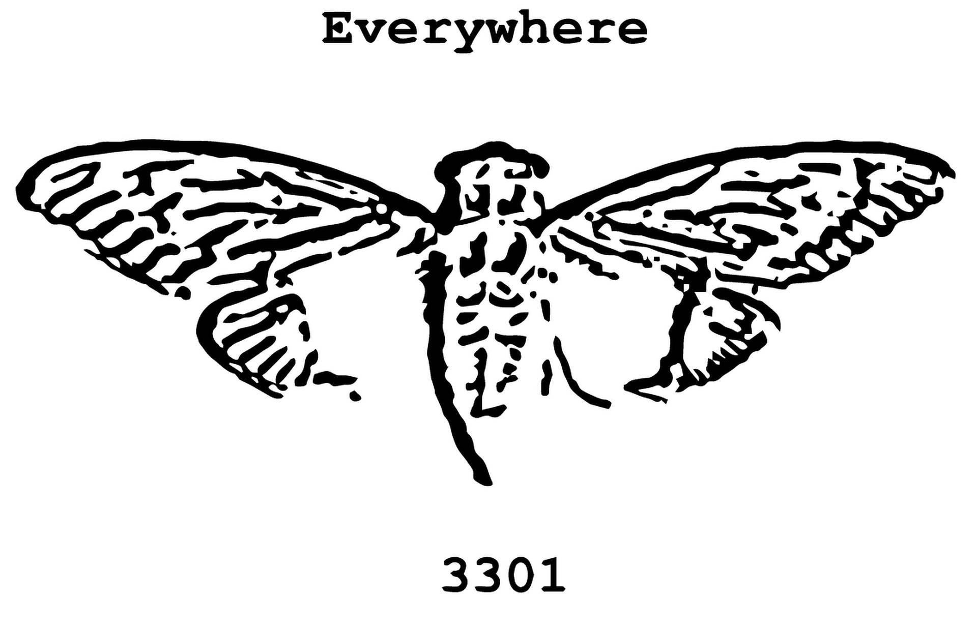 Contornoda Cicada 3301. Papel de Parede