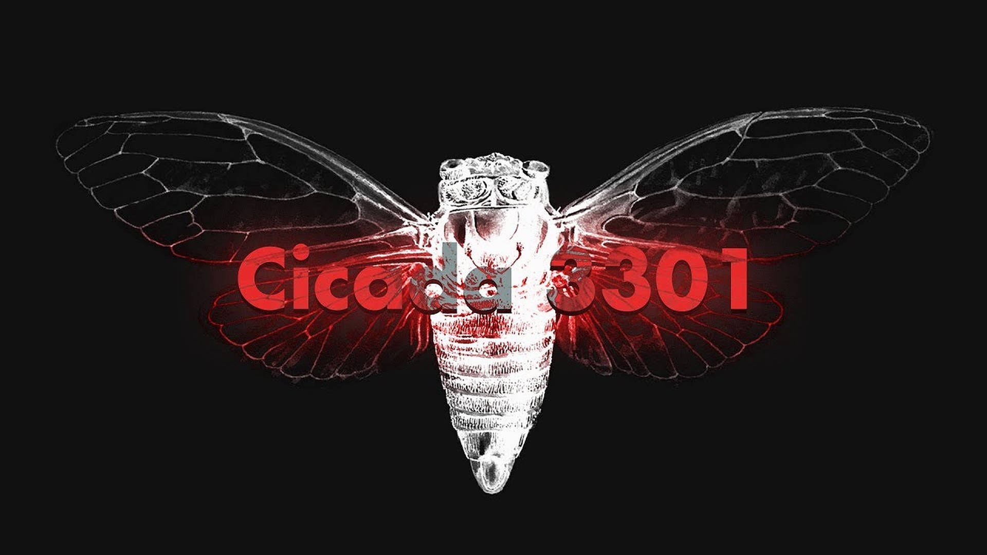 Mysterious Cicada 3301 internet puzzle poster. Wallpaper