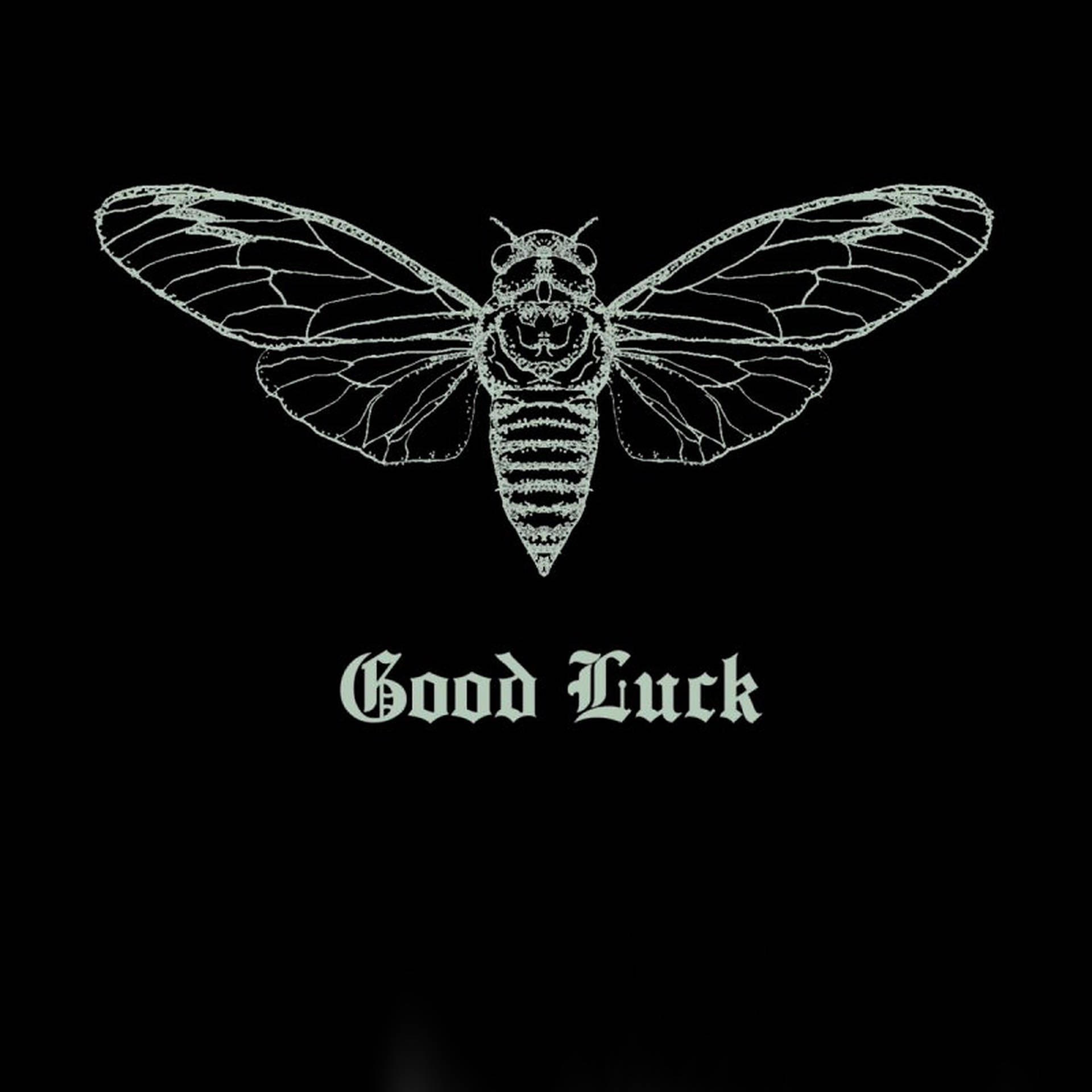 Cicada Good Luck Wallpaper