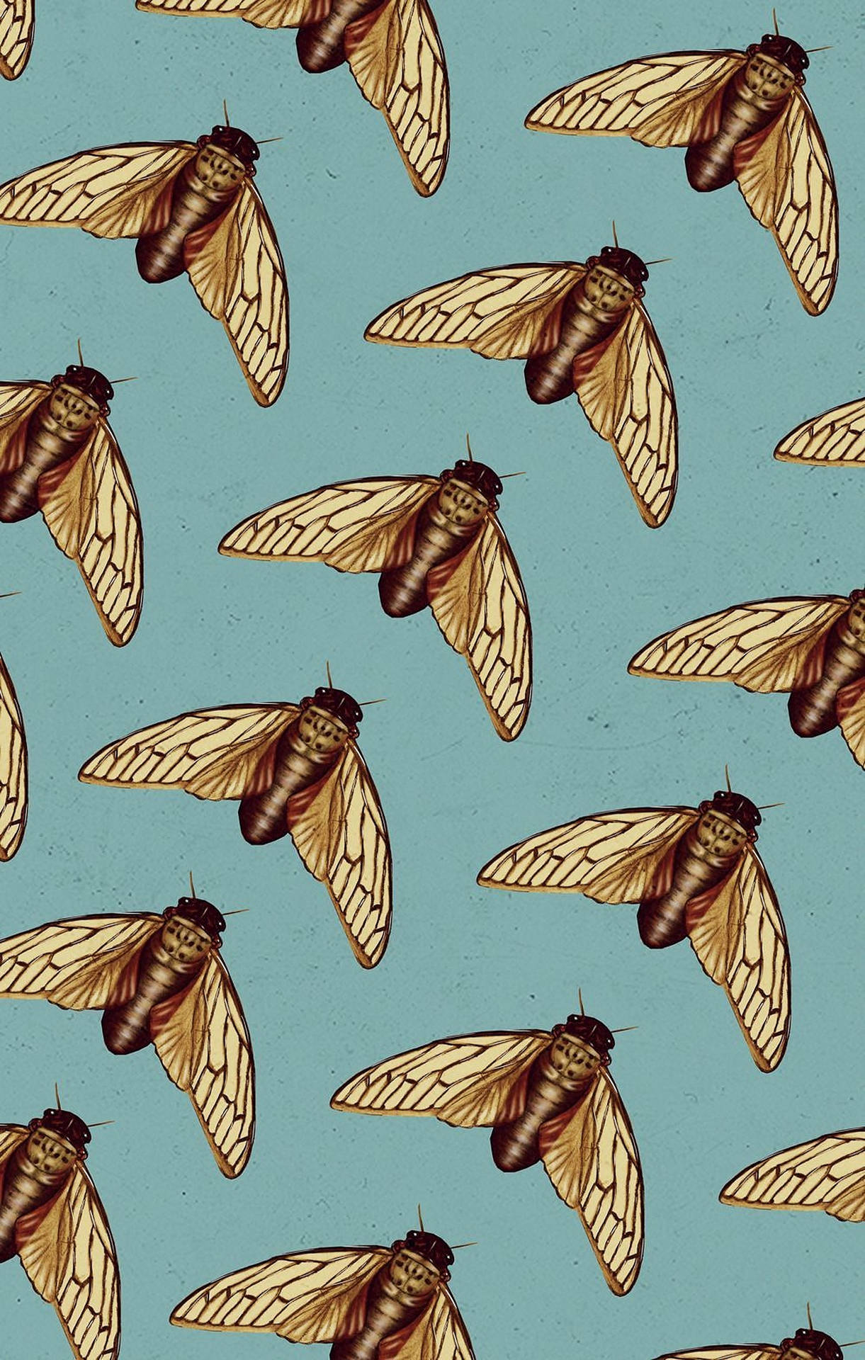 Cicada Insect Pattern Wallpaper