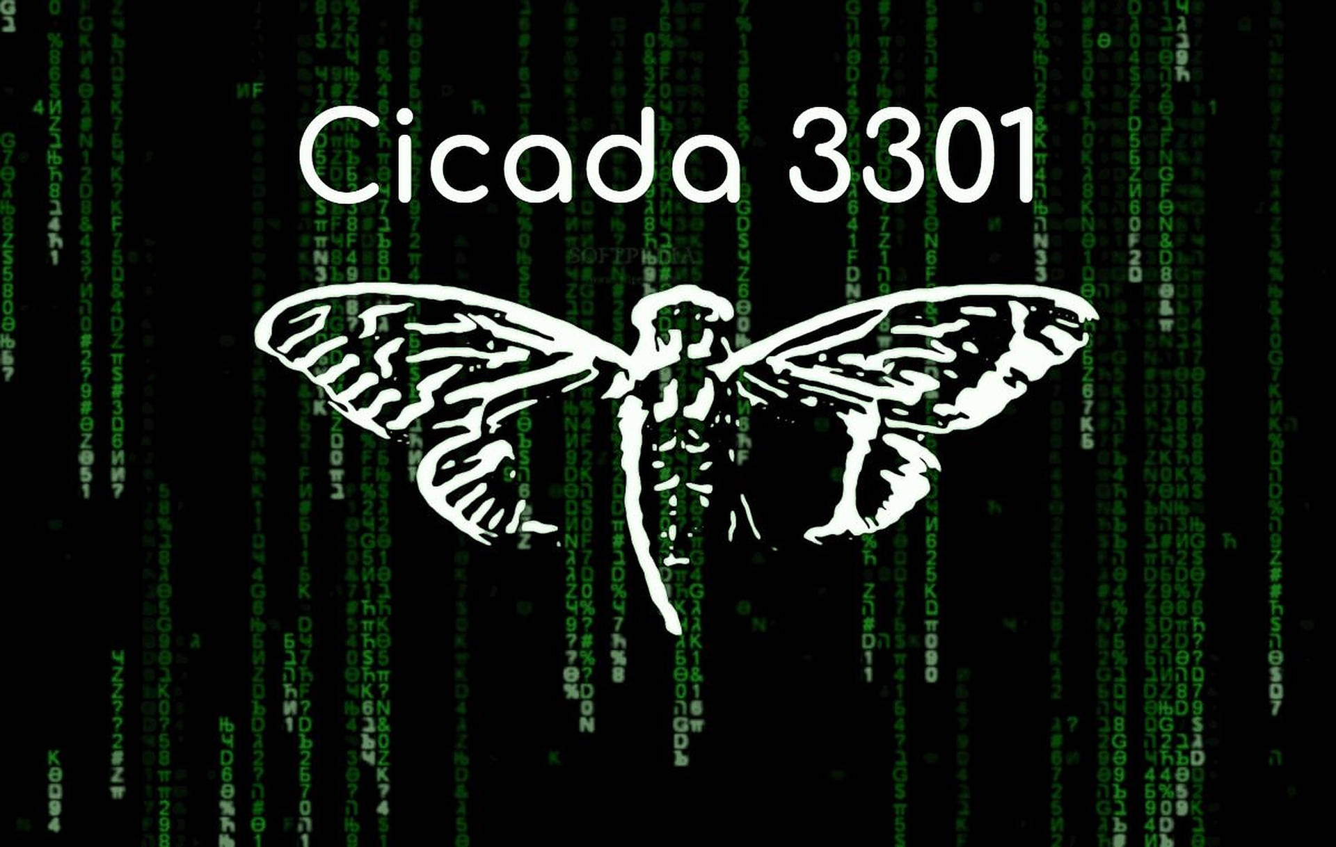 Cicada Matrix Art Wallpaper