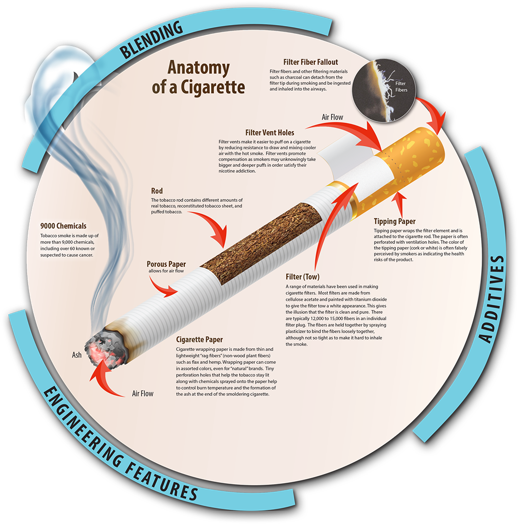 Download Cigarette Anatomy Infographic | Wallpapers.com