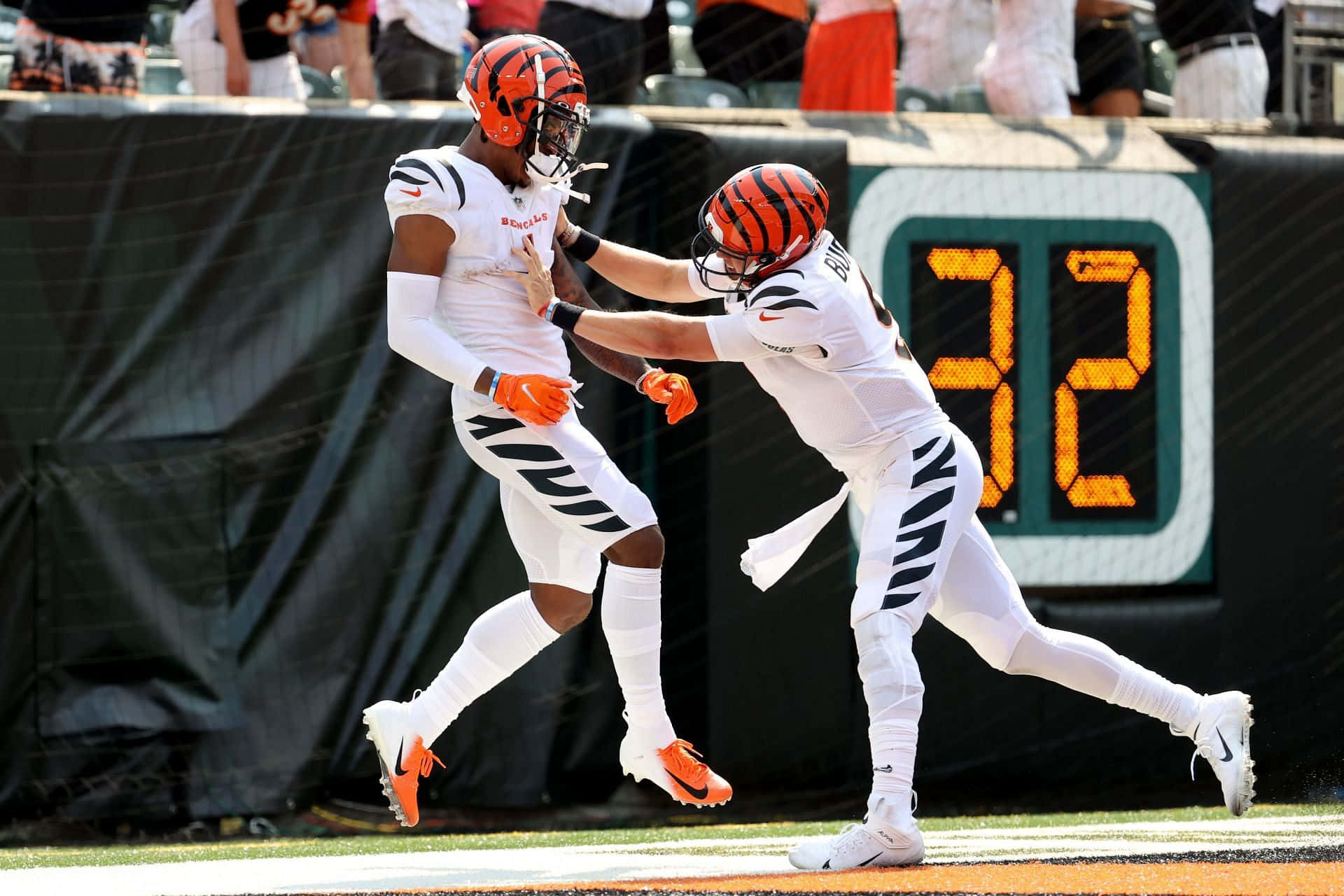 Cincinnati Bengals Celebration Touchdown Wallpaper