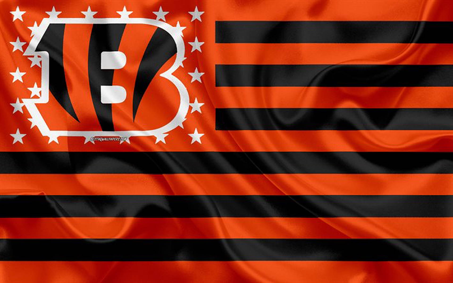 Cincinnati Bengals Flag Wallpaper