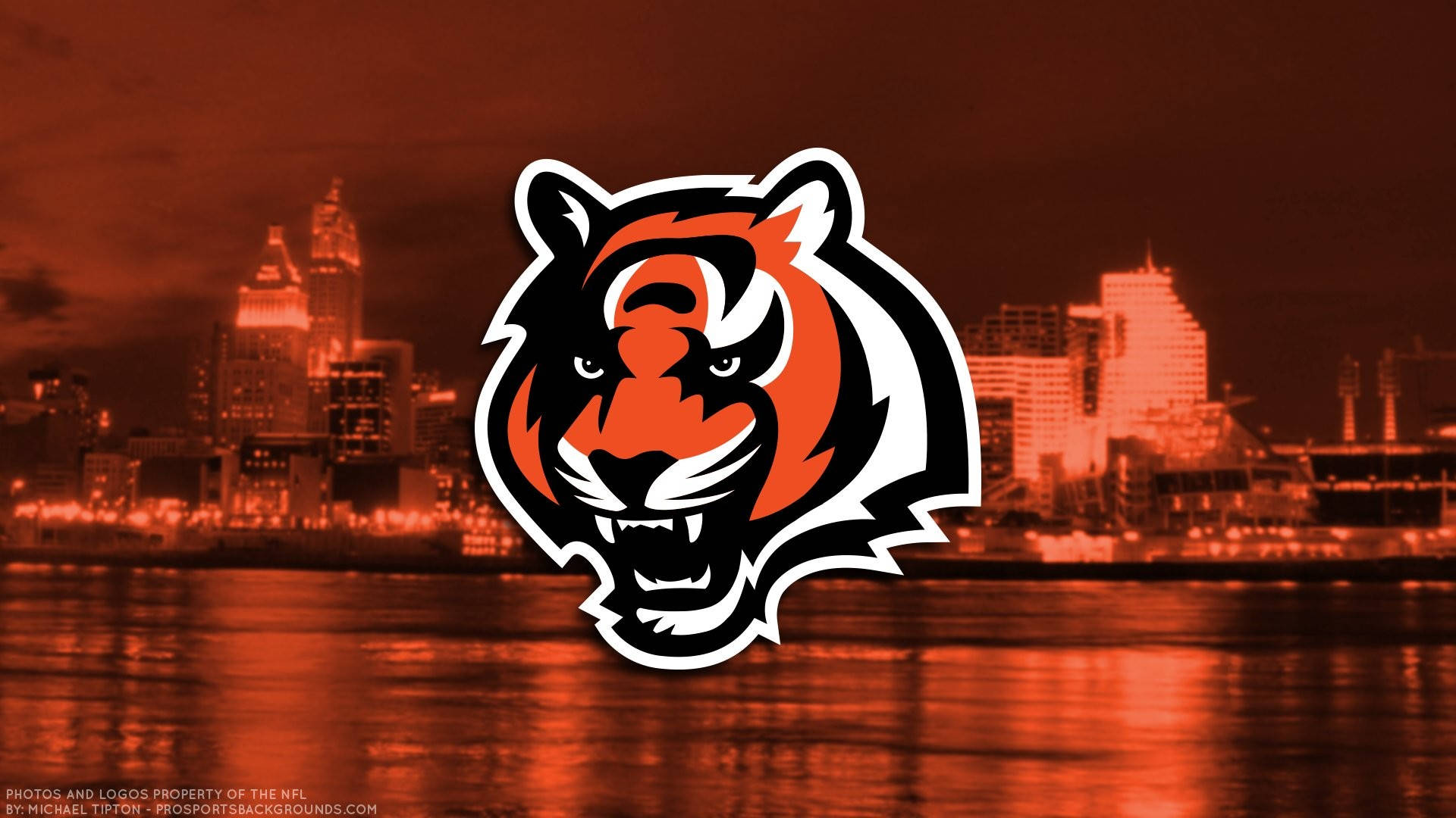 Download Cincinnati Bengals Tiger Logo Wallpaper