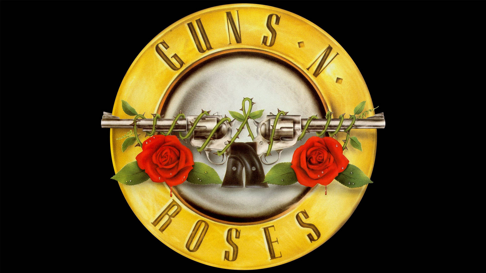Cincinnatispelar Guns N Roses-konsert. Wallpaper