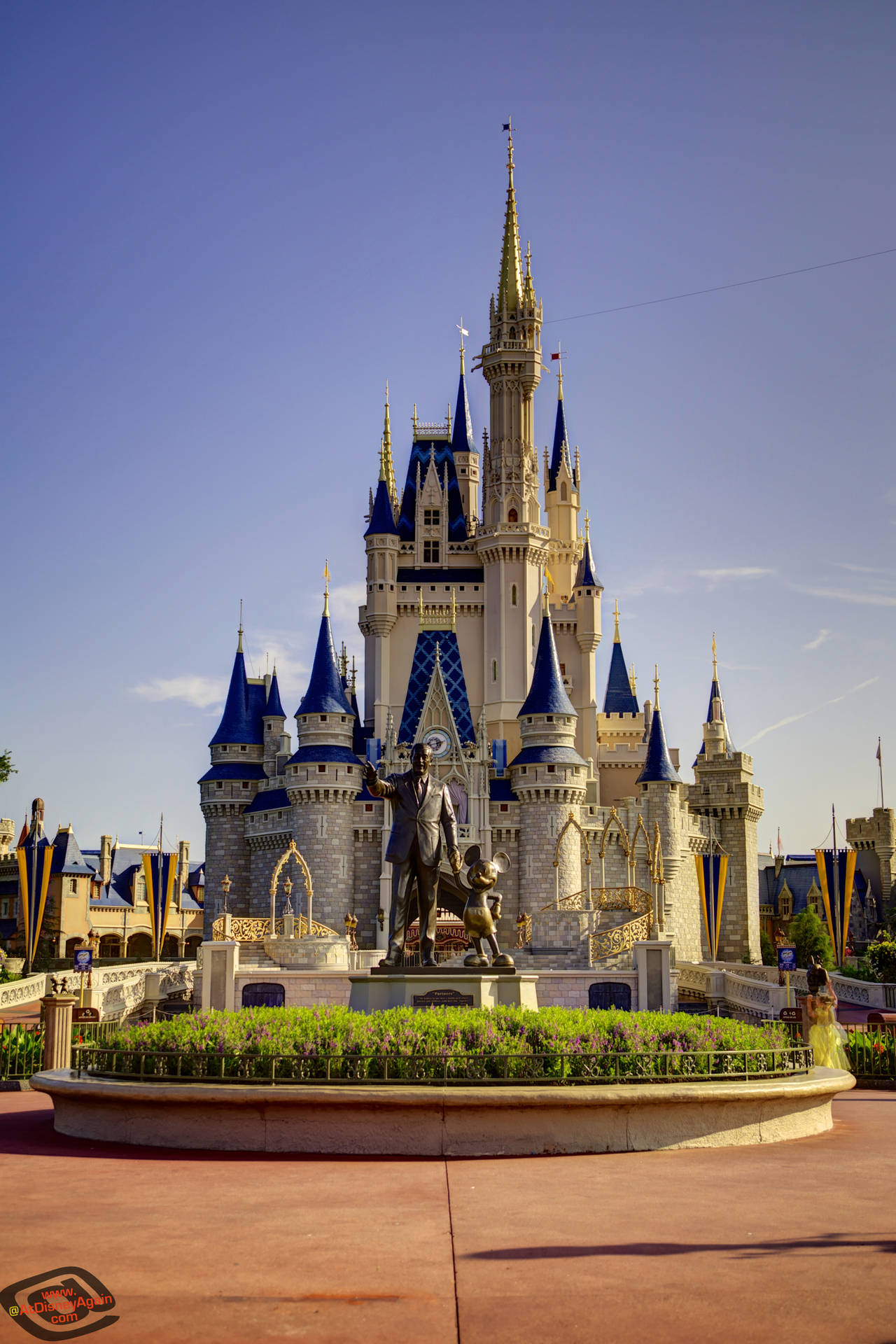 Cinderella's Disney Castle Picture
