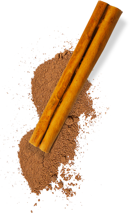 Cinnamon Sticksand Ground Powder PNG