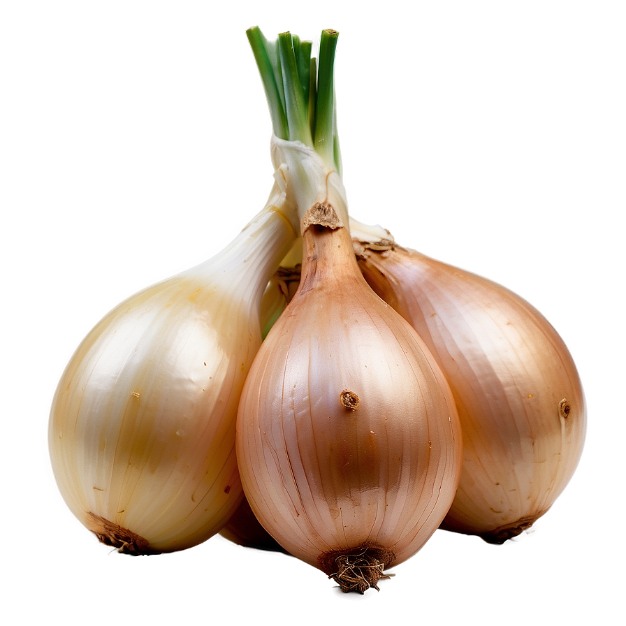 Cipollini Onion Bunch Png 06122024 PNG
