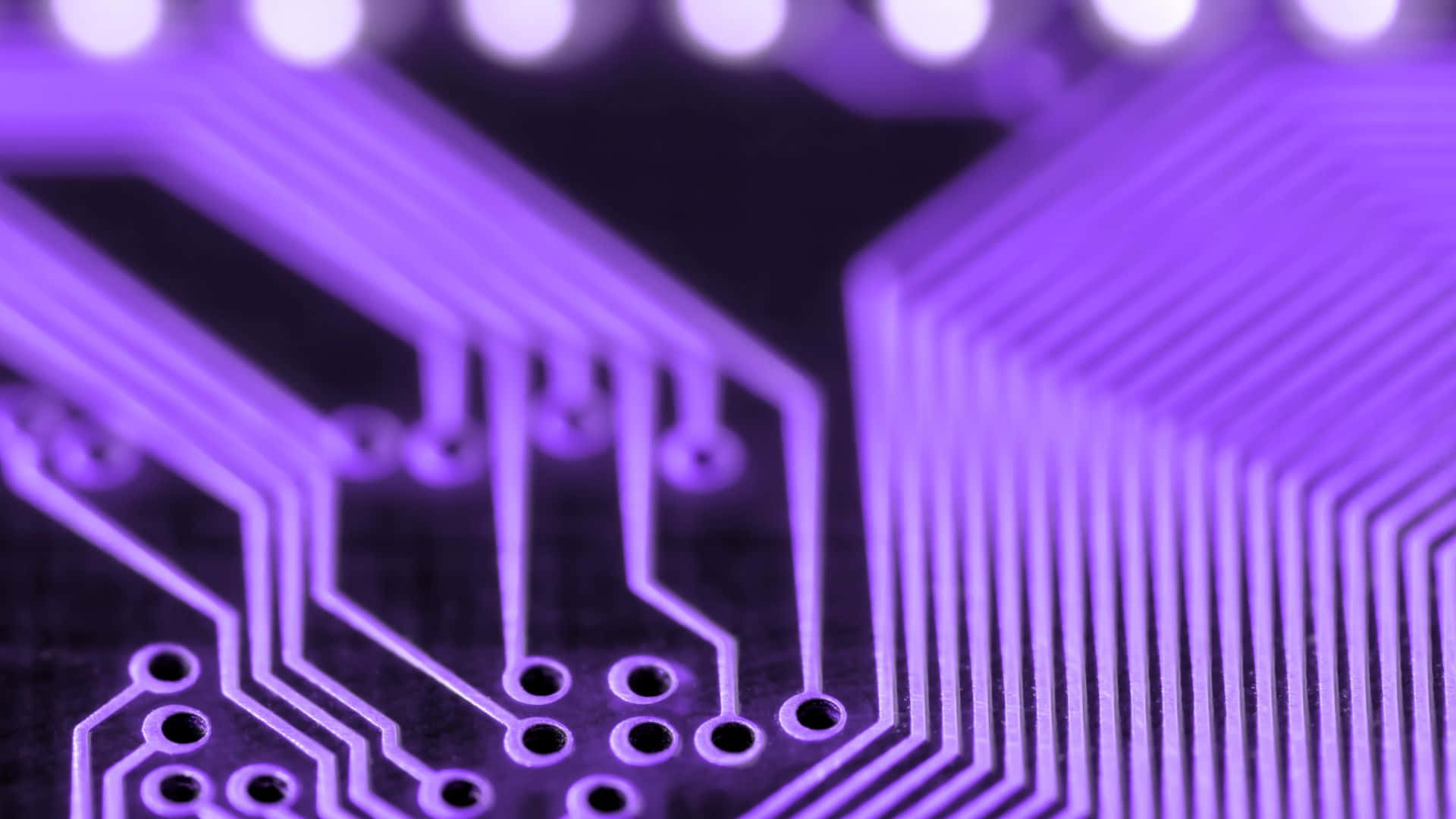 Intricate Circuit Board Background