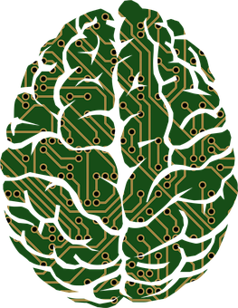Circuit Board Brain Illustration PNG