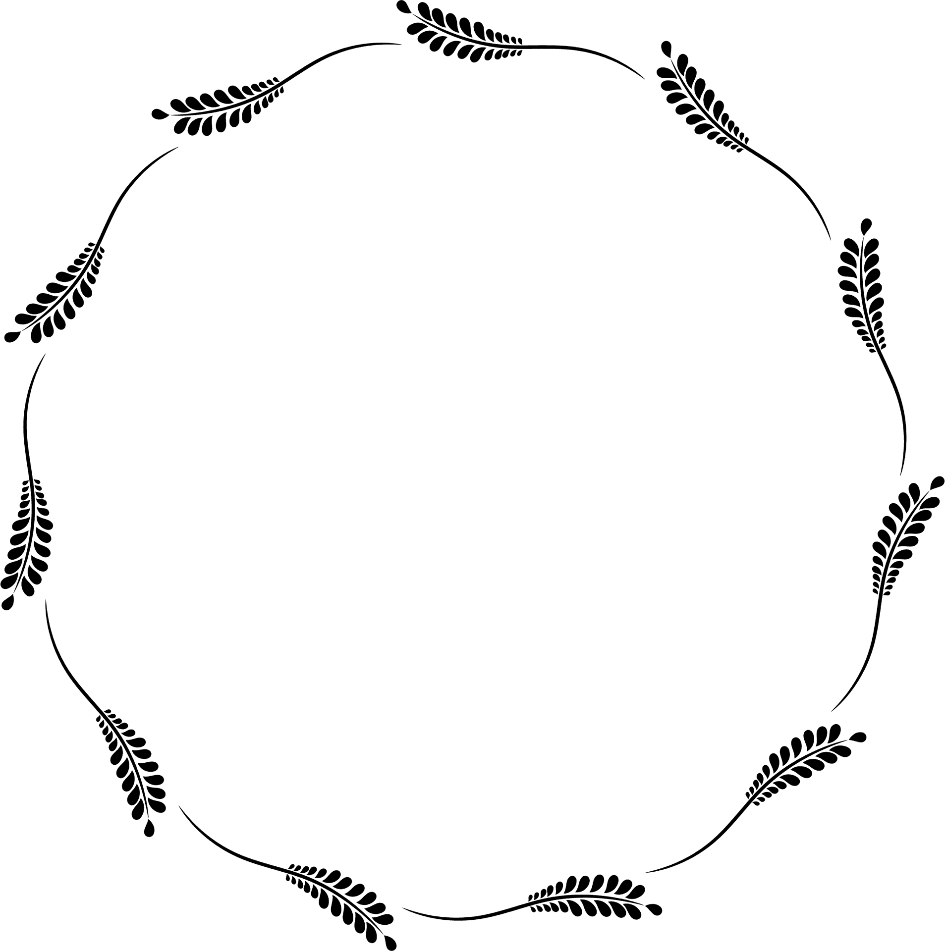 Circular Vine Frame Design PNG