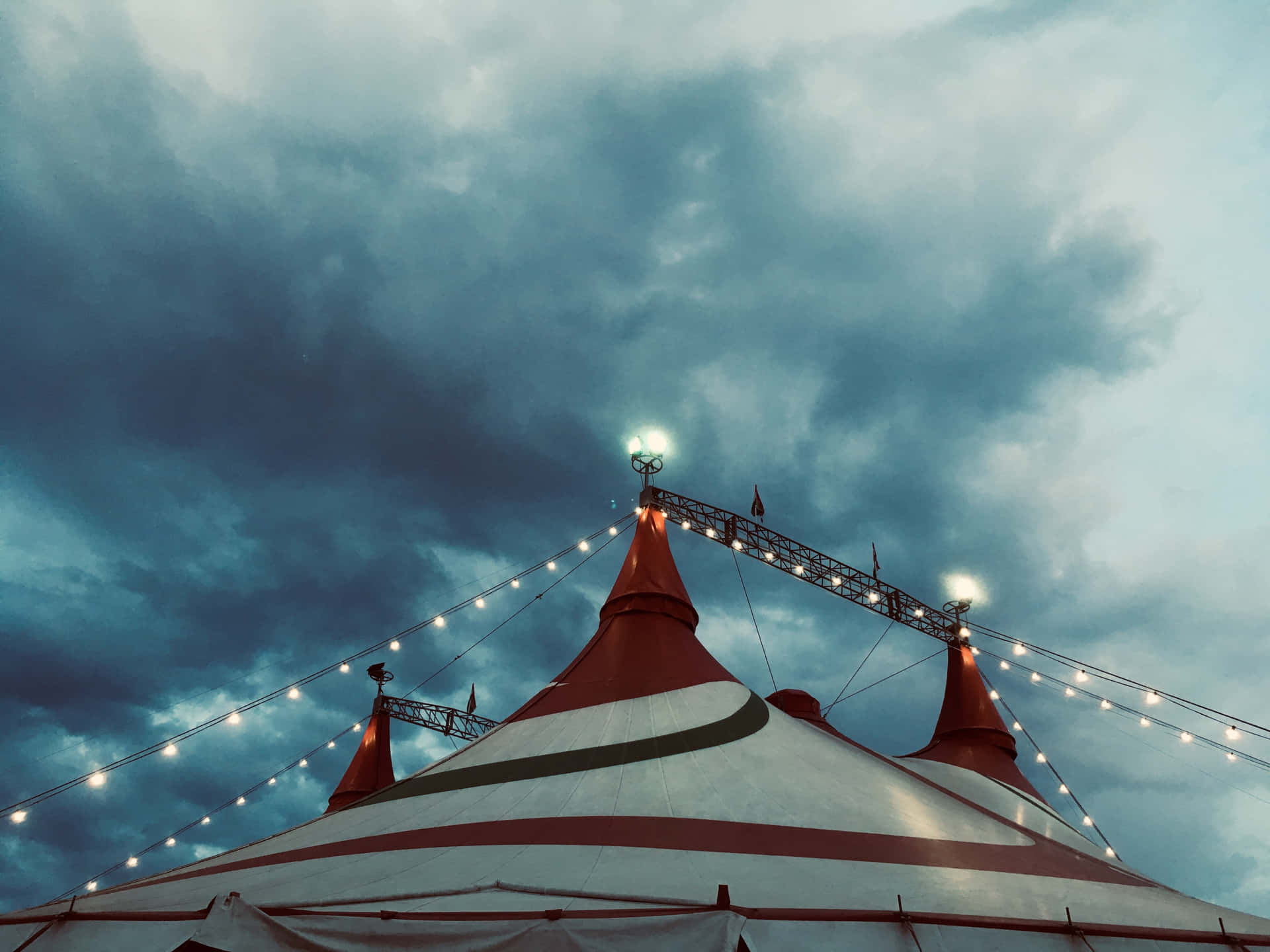 Witness the Magic of the Circus