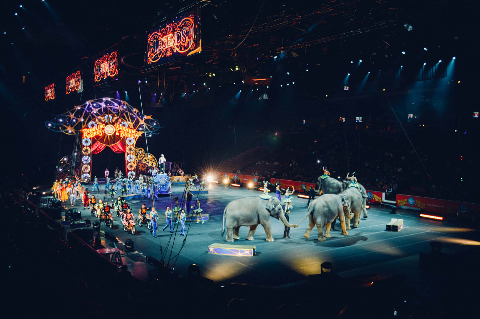 A Spectacular Collection of Talent at the Circus