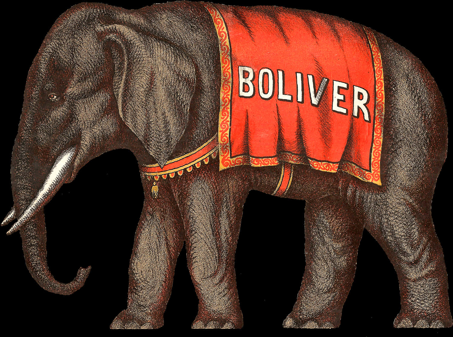 Circus Elephant Boliver Illustration PNG