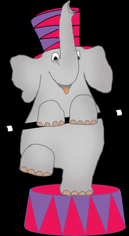 Circus Elephant Cartoon Illustration PNG