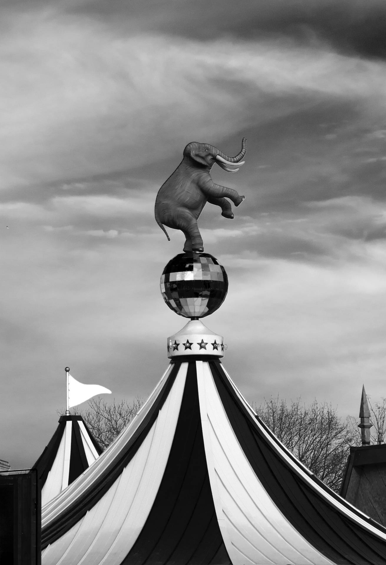 Circus Elephant Iphone Wallpaper