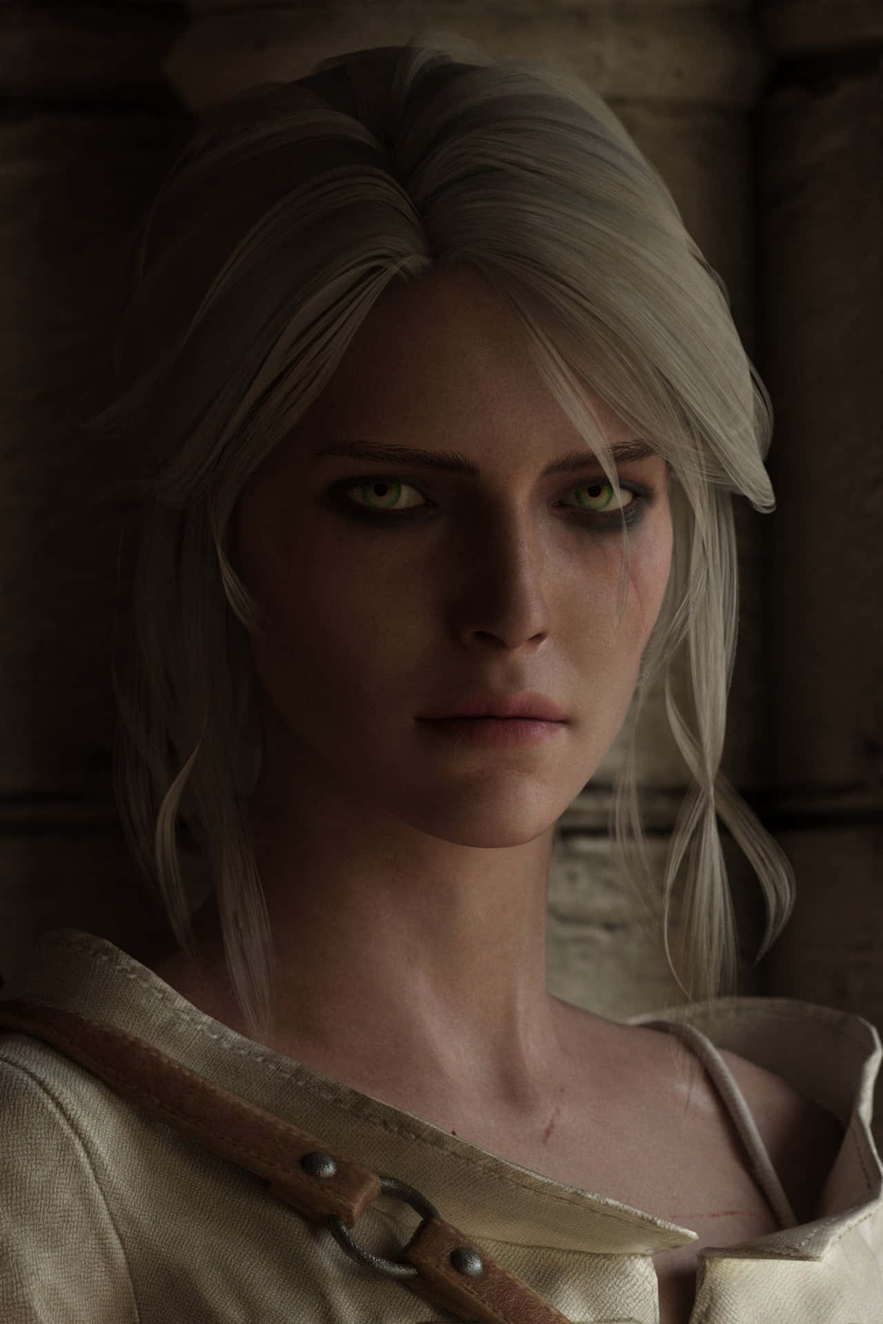 Ciri Portret De Witcher Serie Achtergrond