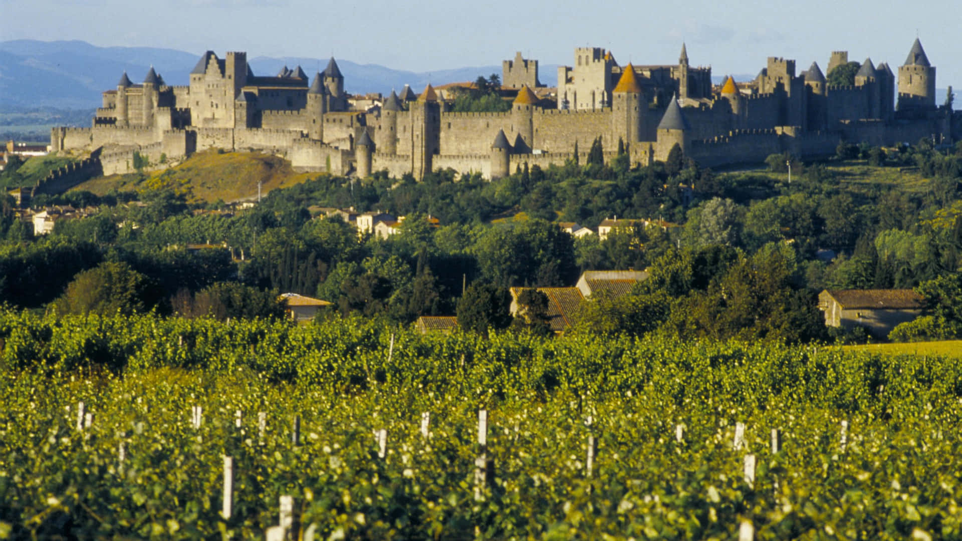 Cite De Carcassonne Fortress In France Picture