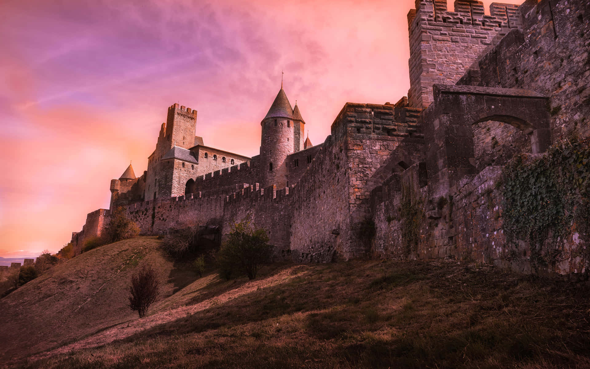 Cite De Carcassonne In France With Pink Sky Picture