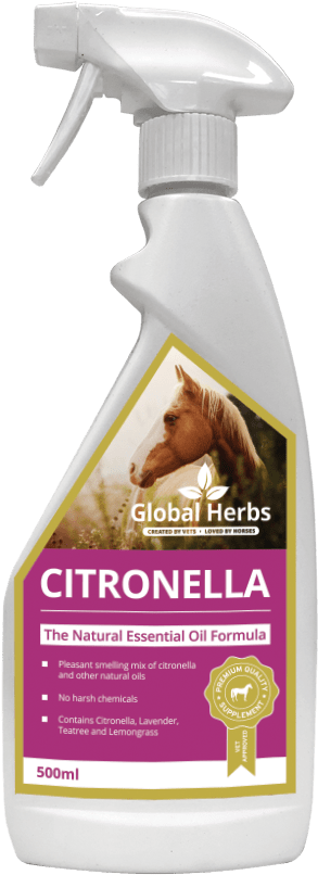 Citronella Spray Bottle Global Herbs PNG