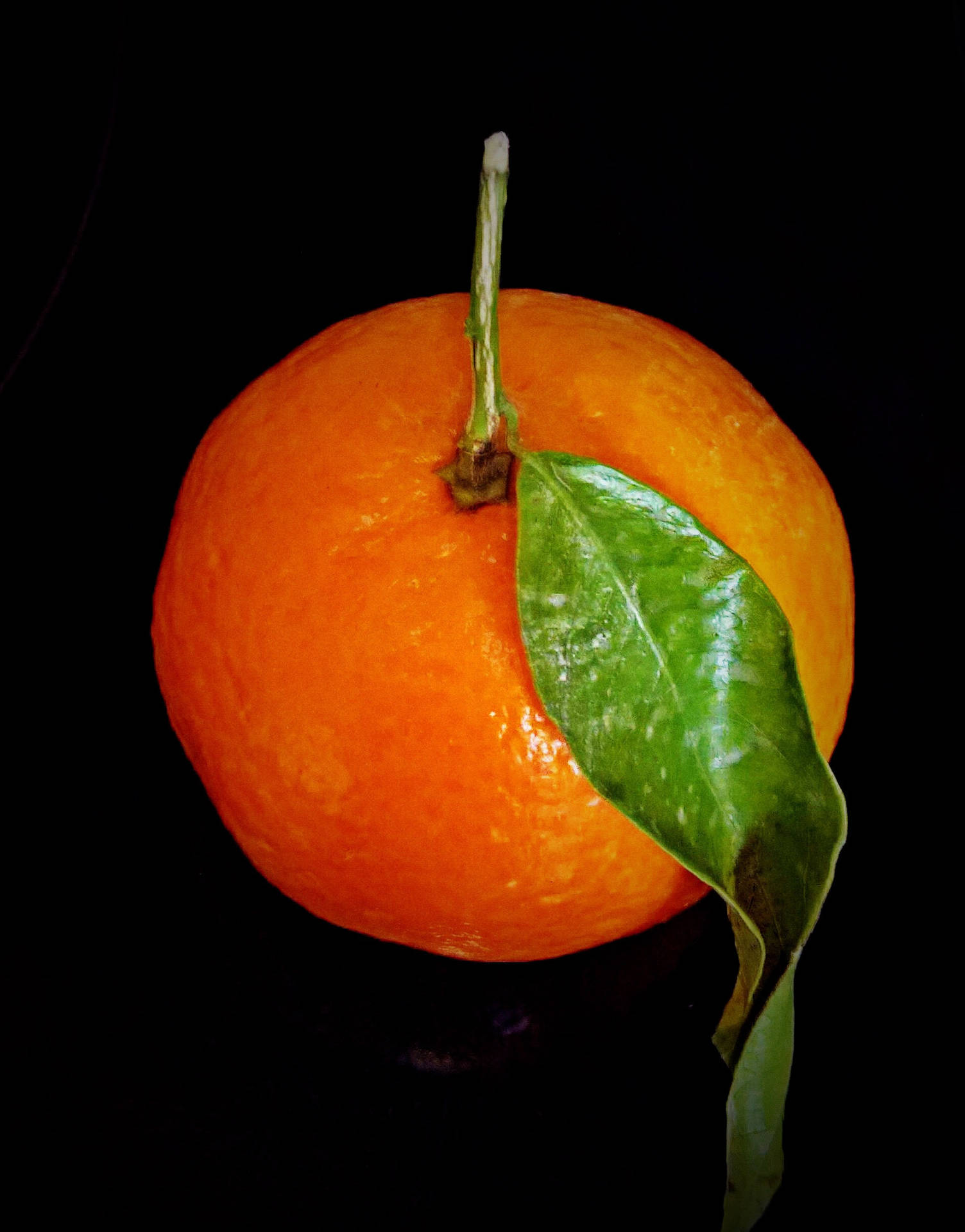Caption: Fresh Clementine Closeup Wallpaper