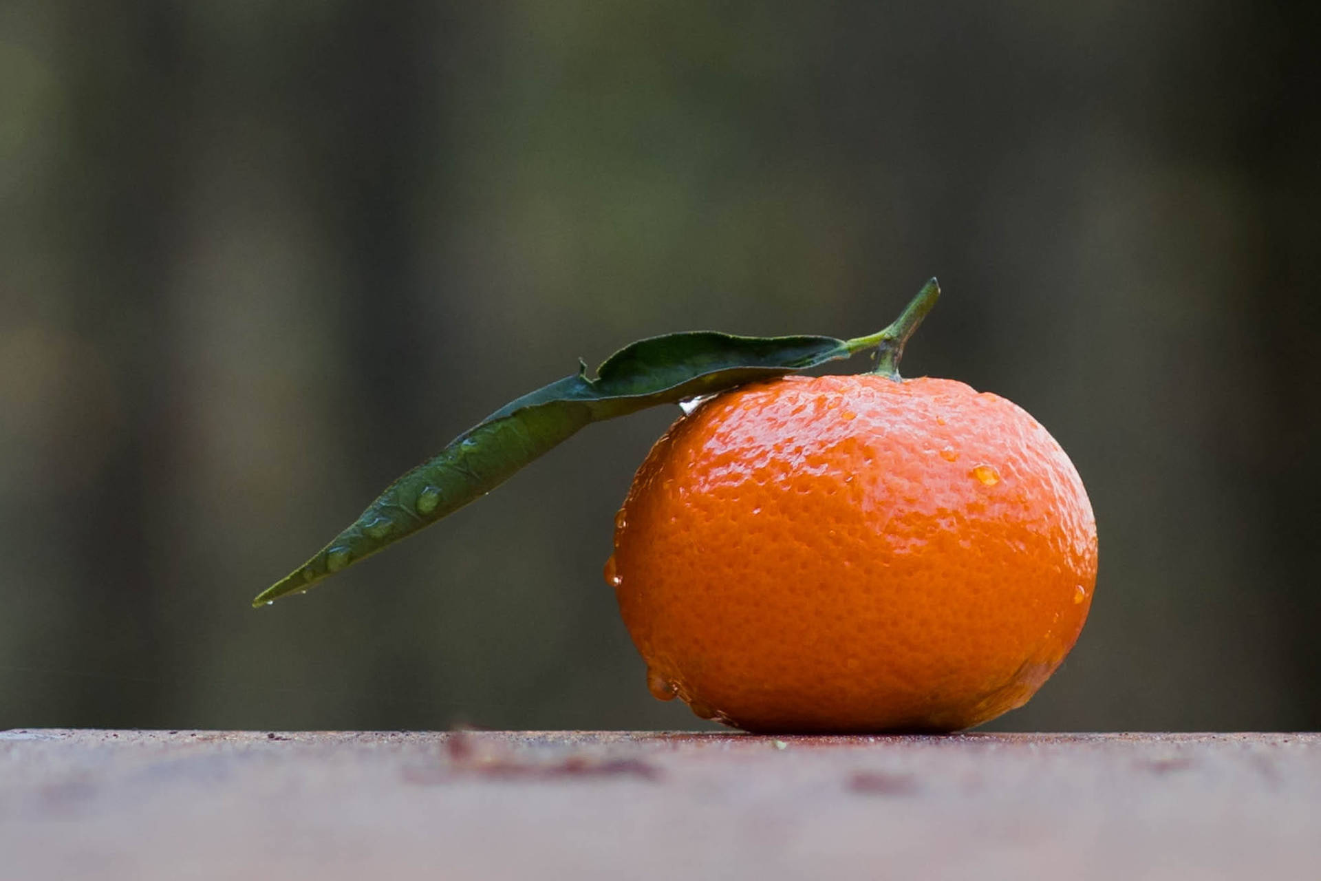 Citrusfruktenclementin Med Vattendroppar. Wallpaper