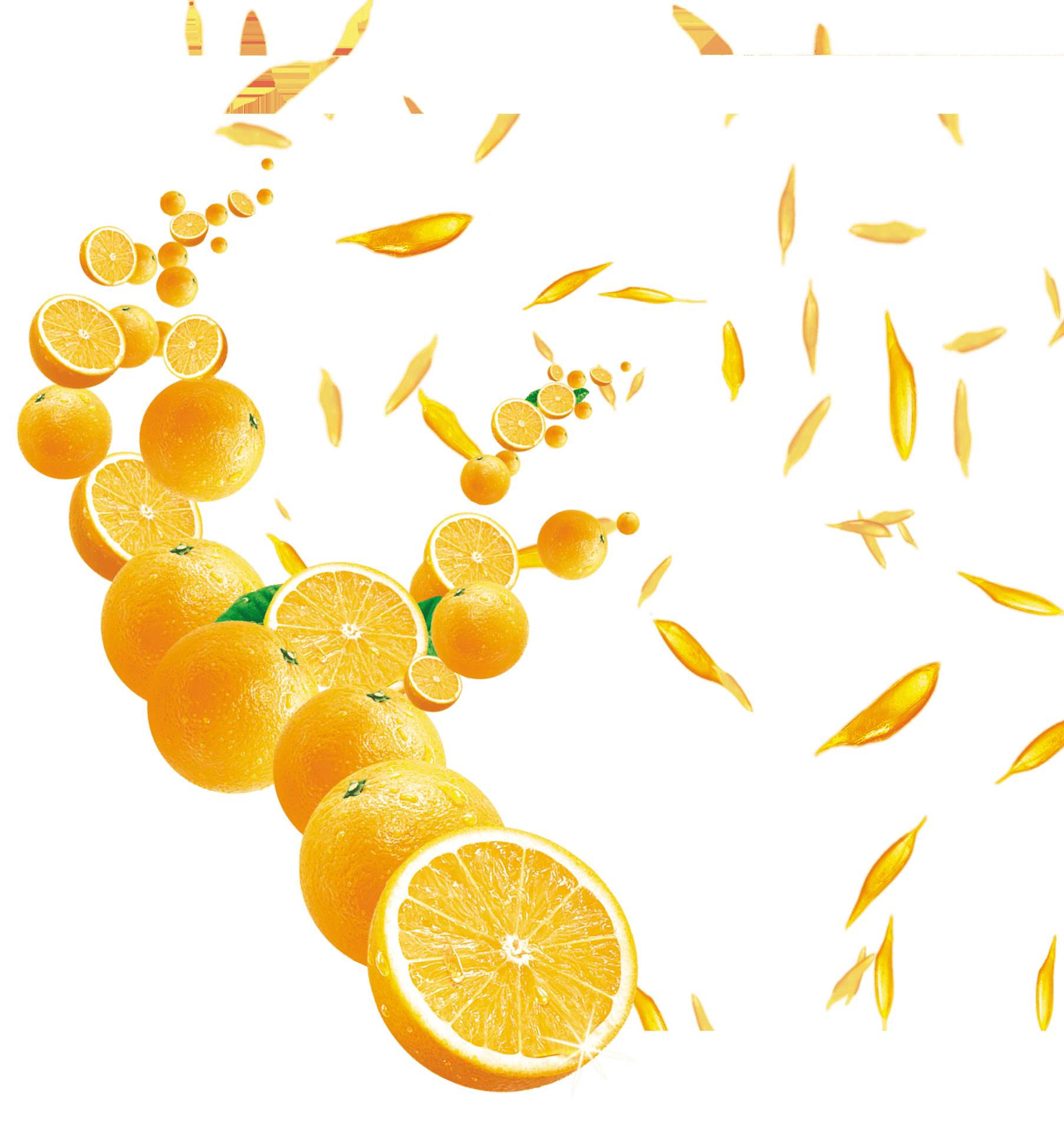 Citrus Fruit Explosion