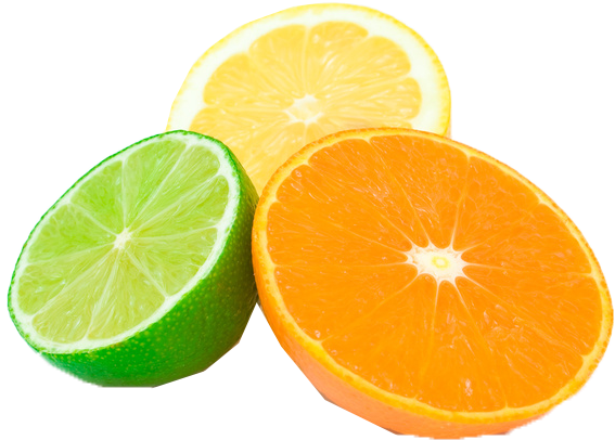 Citrus Fruit Slices Transparent Background PNG