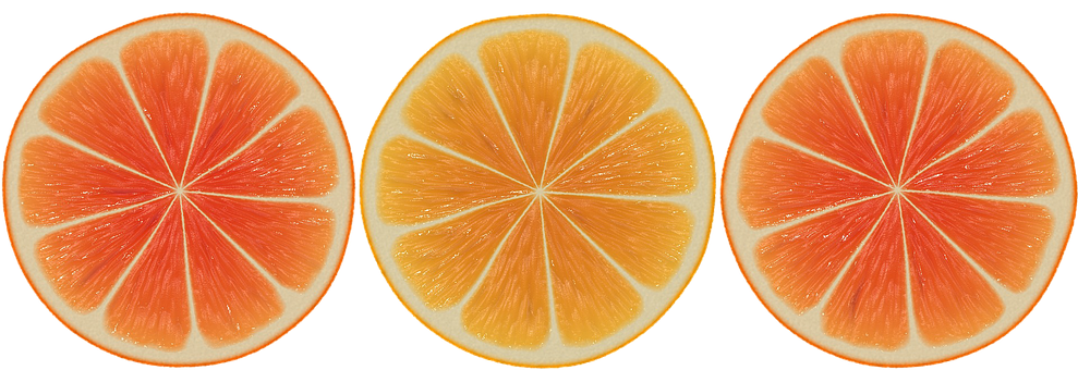 Citrus Fruit Slices Triptych PNG