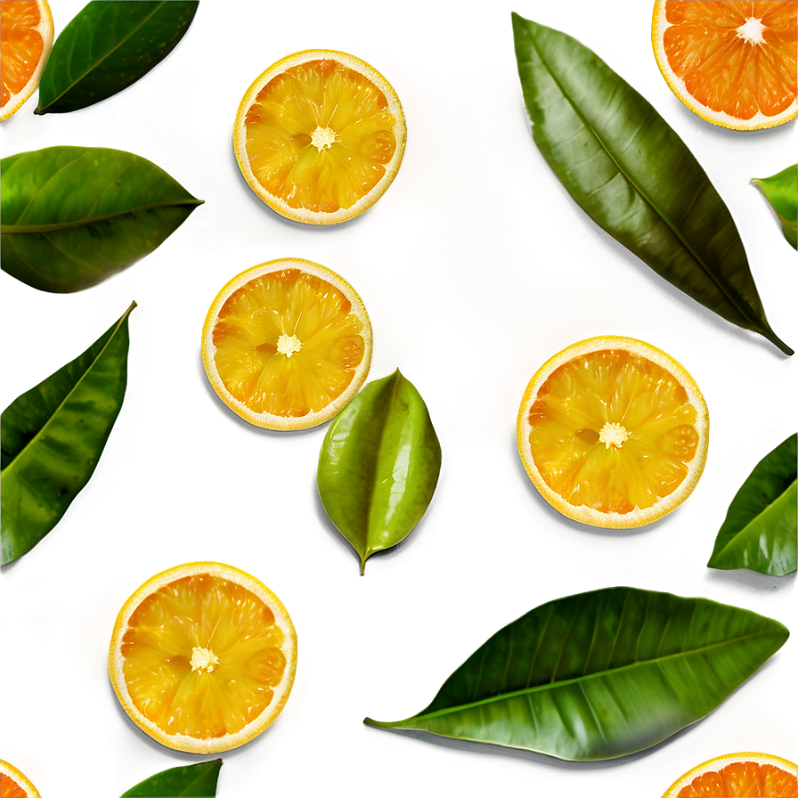 Citrus Leaves And Branches Png 17 PNG