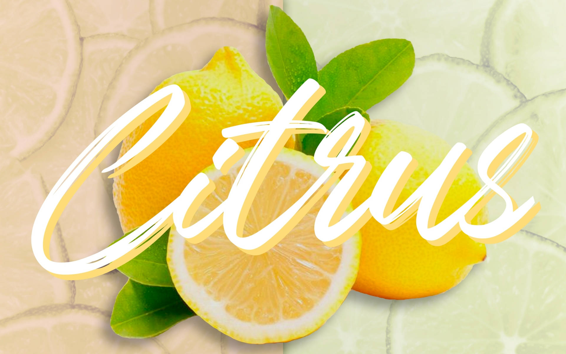 Citrus Lemon Fruit Wallpaper
