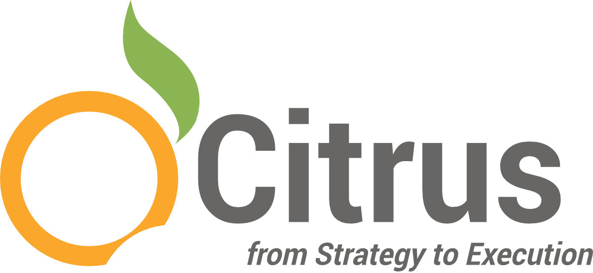 Citrus Strategyto Execution Logo PNG