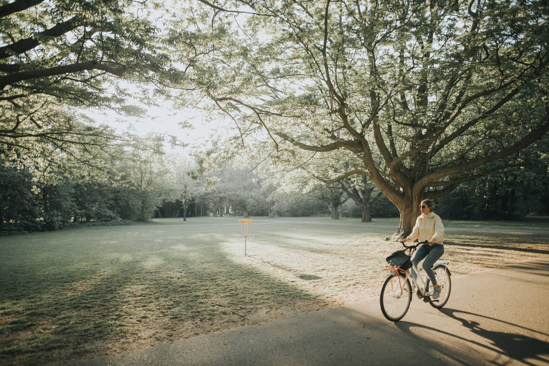 City Bike In Sunny Park Background