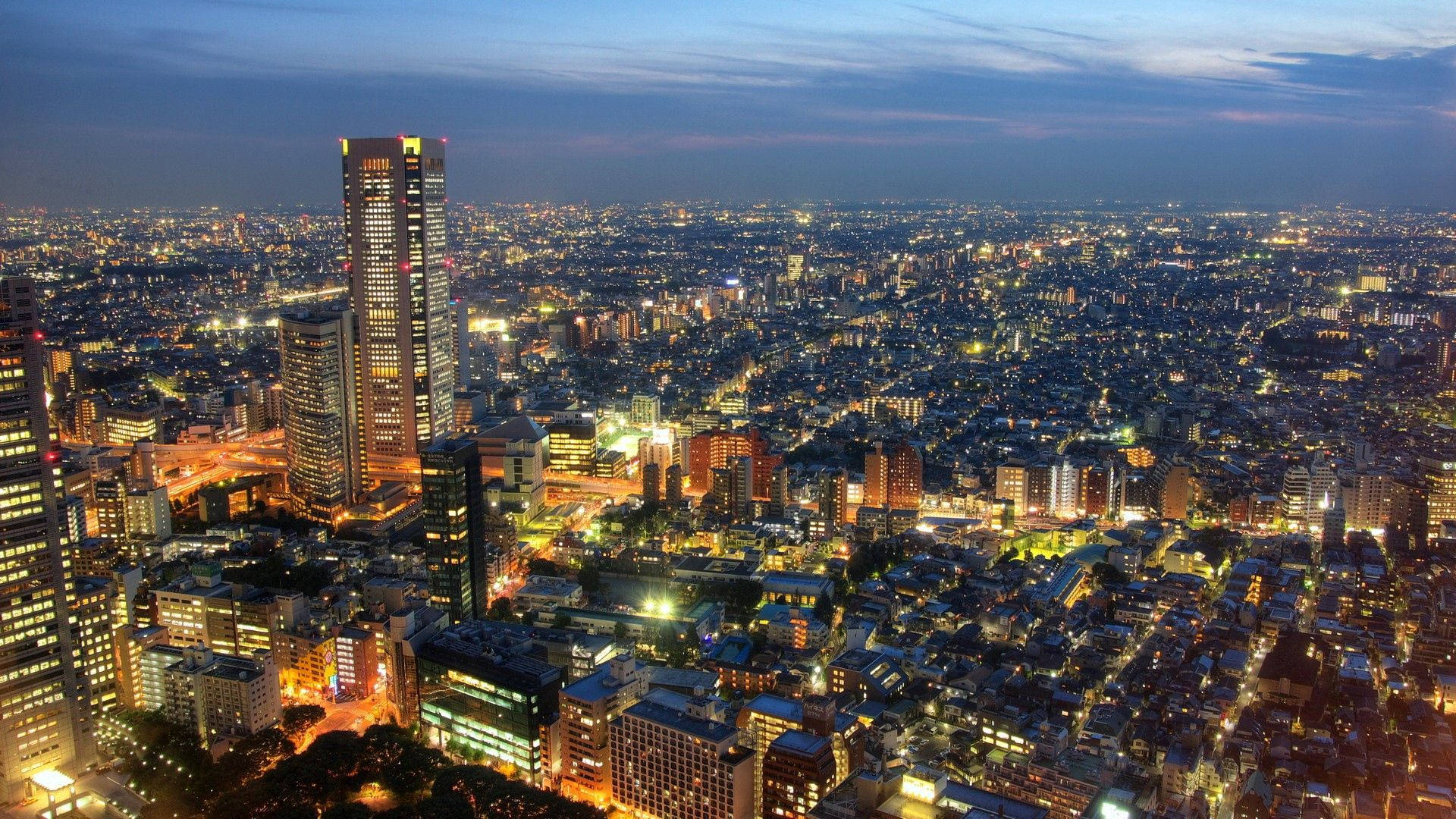 Illuminated skyline of Tokyo at night Wallpaper