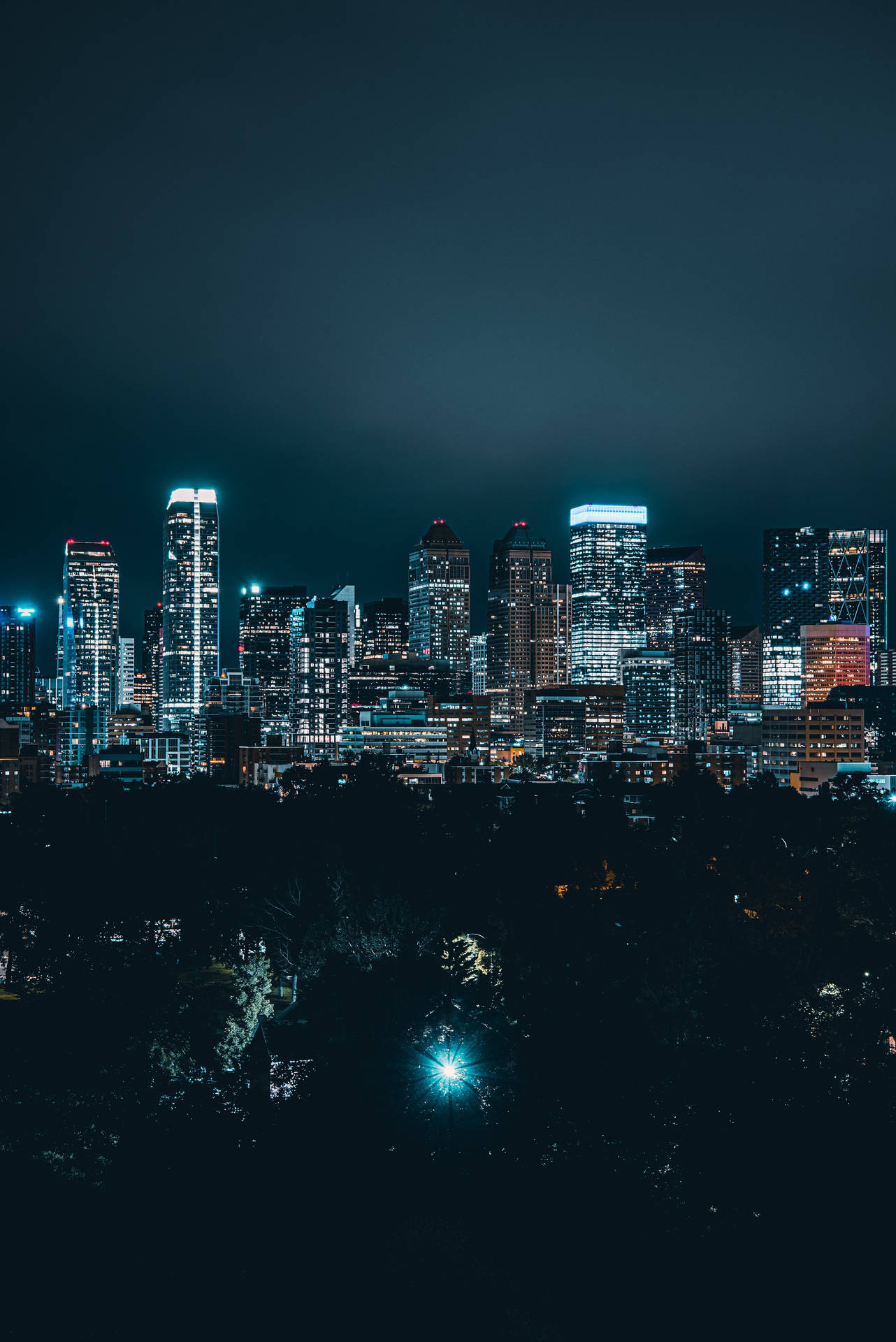 City Night Forest Wallpaper