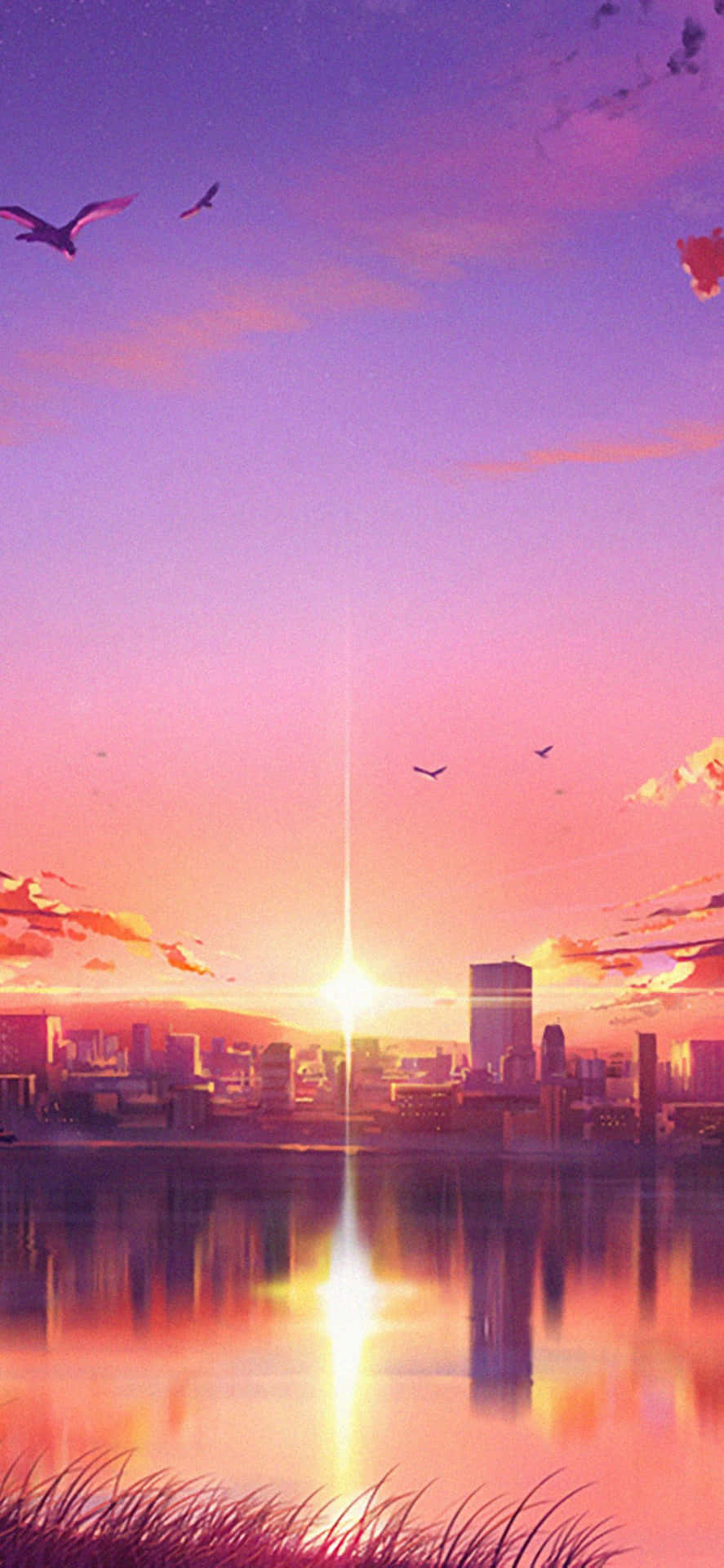 Flitting City Sunset Iphone Wallpaper