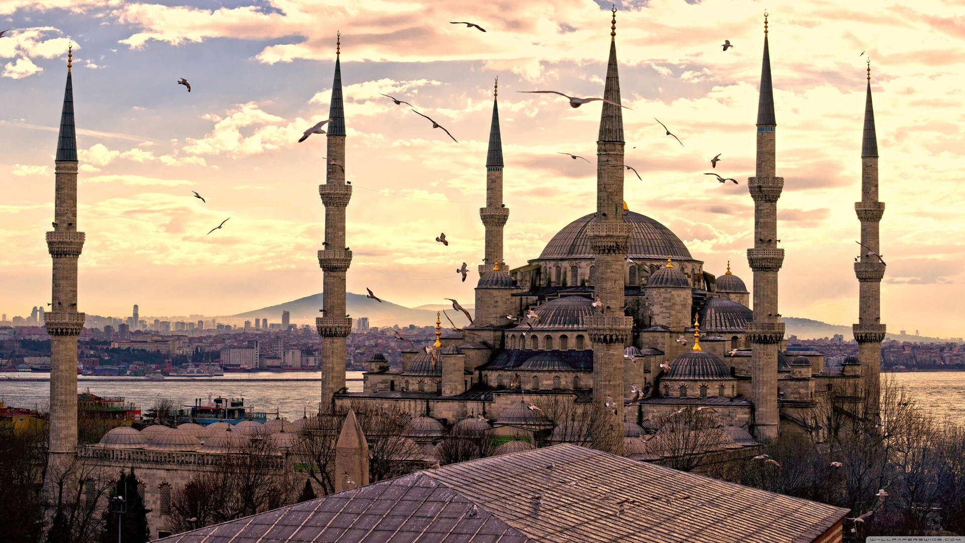 Istanbul's Sultan Ahmed Mosque in Turkey Wallpaper