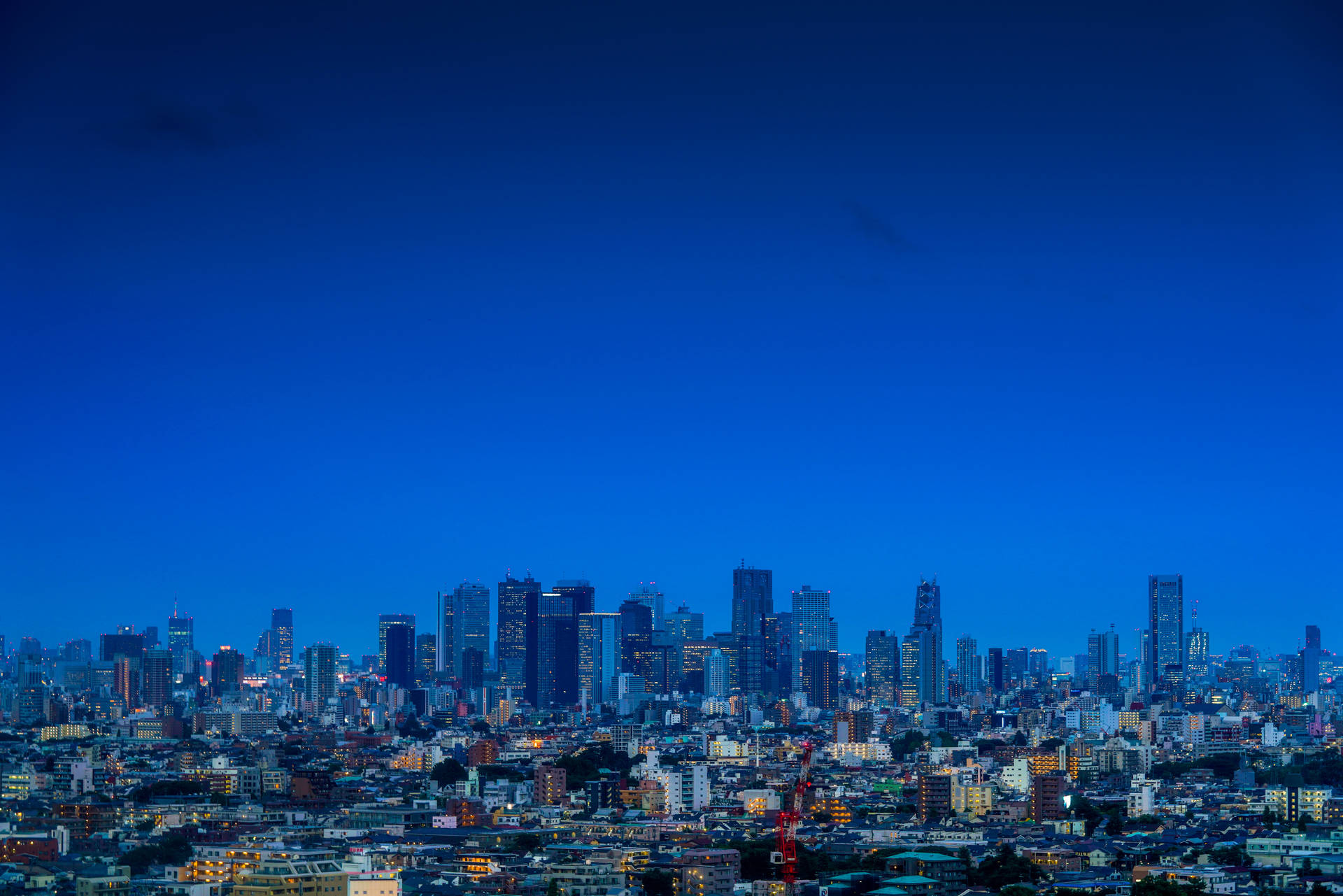 City View Of Tokyo In Blue