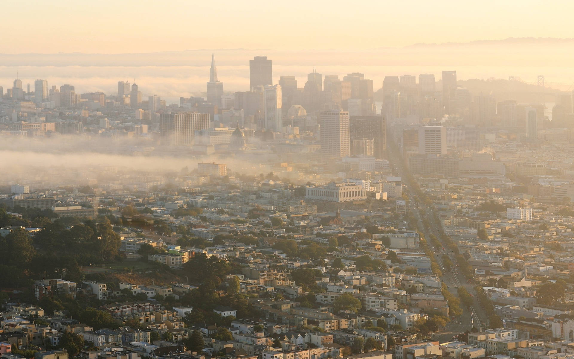 City View San Francisco Photography Wallpaper