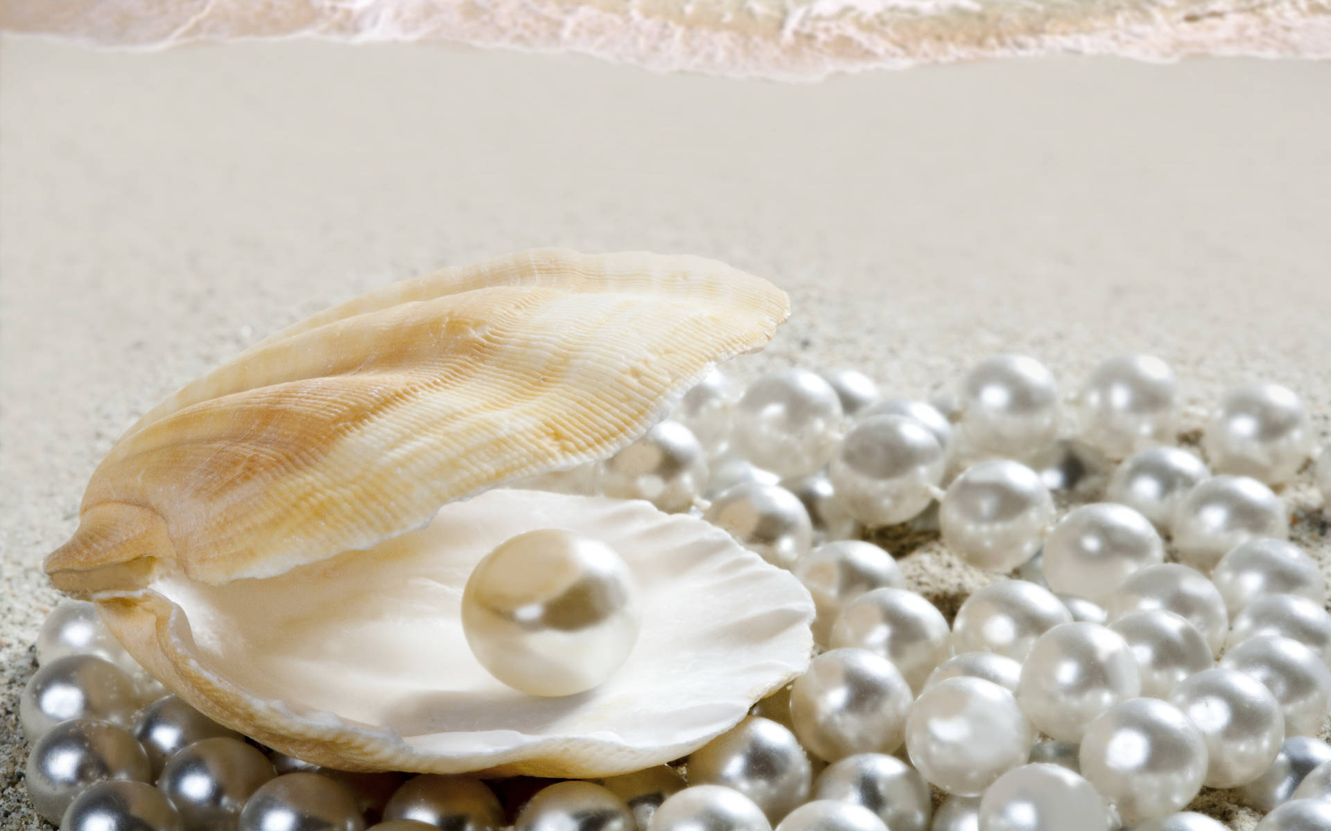 Caption: A Glistening Pearl in a radiant Seashell Wallpaper